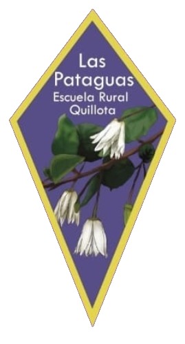 Las Pataguas Quillota